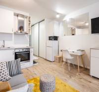 Obývací pokoj jednopokojového bytu s kuchyňskou linkou, bílým nábytkem a podlahou s dřevěným dekorem.