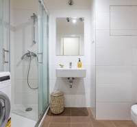 Koupelna v 1-pokojovém bytě s pračkou, sprchovým koutem a bílými obklady.