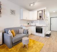 Kompaktní 1pokojový byt s kuchyňským koutem, šedou pohovkou a podlahou s dřevěným dekorem.