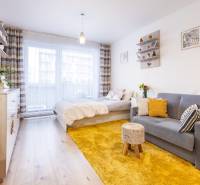 Jednoduchý 1-pokojový byt s podlahou s dřevěným dekorem, postelí, pohovkou a žlutým kobercem.