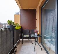 Balkon v 1-pokojovém bytě na Béžové ulici v Bratislavě - Petržalce s rostlinami a nábytkem.