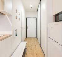 Úzká chodba s kuchyňskou linkou, mikrovlnkou a podlahou s dřevěným dekorem v 1-pokojovém bytě.