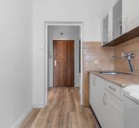 Kuchyňa v 1-izbovom byte s podlahou s dreveným dekorom a bielou linkou.