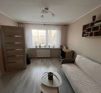 Obývací pokoj ve 3pokojovém bytě s podlahou s dřevěným dekorem, pohovkou a stolkem.