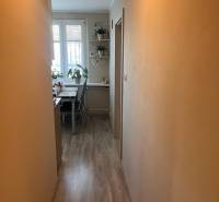 Úzká chodba v 3-pokojovém bytě vede ke světlé jídelně s rostlinami a dekoracemi.