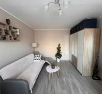 Světlý obývací prostor v 3-pokojovém bytě s podlahou s dřevěným dekorem a pohodlnou sedačkou.