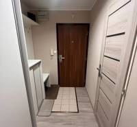 Předsíň s podlahou s dřevěným dekorem, věšáky a dveřmi v 3-pokojovém bytě.