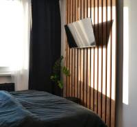 Ložnice s TV a podlahou s dřevěným dekorem v 3-pokojovém bytě.