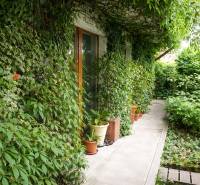 Zahrada 3pokojového bytu na Šancově ulici v Pezinku s bujnou zelení a chodníkem.