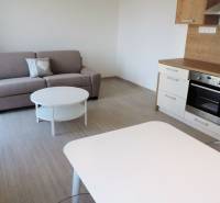 Stylová garsonka s kuchyňským koutem, sedačkou a stolkem na ulici Bodona.