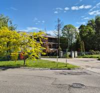 Stromy a keře u oploceného pozemku, blízko křižovatky na ulici Bodona.