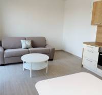 Garsonka na ulici Bodona s pohovkou, kuchyňskou linkou a konferenčním stolkem.