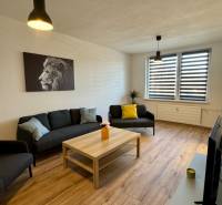 Obývací pokoj s podlahou s dřevěným dekorem, sedačka, konferenční stolek, obraz lva.