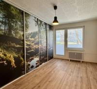 Pokoj v 3-pokojovém bytě s velkoplošnou tapetou lesa a podlahou s dřevěným dekorem.