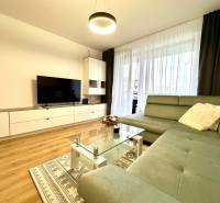 Obývací pokoj v 2pokojovém bytě s pohovkou, televizorem a podlahou s dřevěným dekorem.