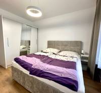 Ložnice v dvoupokojovém bytě s podlahou s dřevěným dekorem, skříní a postelí.