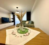 Obývací pokoj v 2-pokojovém bytě; pohovka, televizor, stůl s dekorací, podlaha s dřevěným dekorem.