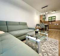 Obývací pokoj v 2-pokojovém bytě s podlahou s dřevěným dekorem a pohodlnou sedačkou.