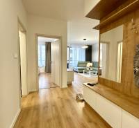 Chodba v 2-pokojovém bytě s podlahou s dřevěným dekorem a vestavěným nábytkem.