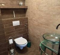 Koupelna v rodinném domě s podlahou s dřevěným dekorem a moderním toaletním zařízením.