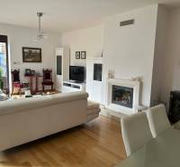 Interiér rodinného domu s krbem, pohovkou a podlahou s dřevěným dekorem.