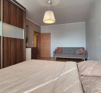 Ložnice v dvoupokojovém bytě s pohovkou, šatní skříní a podlahou s dřevěným dekorem.