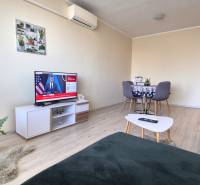 Obývací pokoj v dvoupokojovém bytě, podlaha s dřevěným dekorem, televize, jídelní stůl.