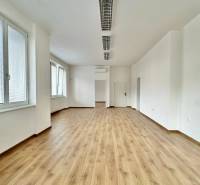 Kanceláře s podlahou s dřevěným dekorem a okny, Trenčín, M. R. Štefánika.