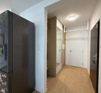 Kuchyně a předsíň v 3-pokojovém bytě s podlahou s dřevěným dekorem.