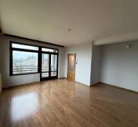 Pokoj v rodinném domě s podlahou s dřevěným dekorem a velkými okny do zahrady.