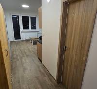 Garsonka s podlahou s dřevěným dekorem, bílými stěnami a nábytkem.