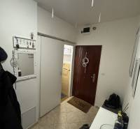 Předsíň 3-pokojového bytu s věšáky, zrcadlem a vchodovými dveřmi.