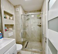 Kompaktní koupelna v garsonce s umyvadlem, sprchovým koutem a toaletou.