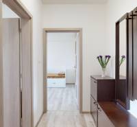 Chodba v 2pokojovém bytě s podlahou s dřevěným dekorem a tmavým nábytkem.