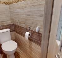 Koupelna se stěnami s dřevěným dekorem v 2-pokojovém bytě.