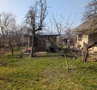 Zahrada u rodinného domu na Nové ulici v Lastovcích s trávníkem a stromy.