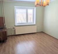 Pokoj v rodinném domě s podlahou s dřevěným dekorem a oknem s radiátorem.