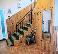 Interiér rodinného domu s dřevěným obložením, zrcadlem, schodištěm a podlahou s dřevěným dekorem.