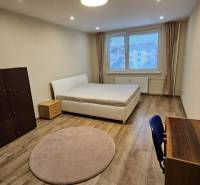 Světlý pokoj v 2-pokojovém bytě s postelí a nábytkem, podlaha s dřevěným dekorem.