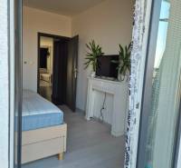 Ložnice s postelí, televizí a rostlinami v třípokojovém bytě s podlahou s dřevěným dekorem.