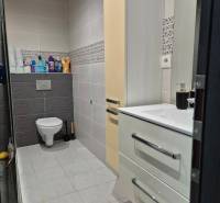 Koupelna v 3pokojovém bytě se závěsným WC, umyvadlem, skříňkou a světlými obklady.