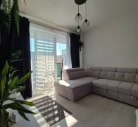 Obývací pokoj ve 3-pokojovém bytě s podlahou s dřevěným dekorem, velkou sedačkou a rostlinami.