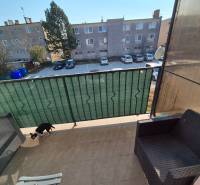 Balkon s výhledem na parkoviště, posezení z ratanu a pes, Blatná na Ostrově.