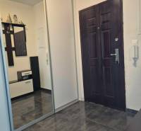 Vstupní hala ve 3-pokojovém bytě s tmavou podlahou a vestavěnou šatní skříní.