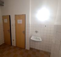 Kanceláře s obklady na stěně, dvoje dveře a umyvadlo.