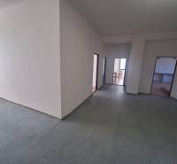 Interiérová fotografie prostoru se světlými stěnami a třemi dveřmi, podlaha s dřevěným dekorem.