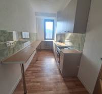 Kuchyně v budově s podlahou s dřevěným dekorem a zelenou kuchyňskou deskou.