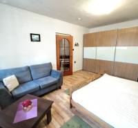 1+kk byt s podlahou s dřevěným dekorem, rozkládací pohovkou a vestavěnou skříní.