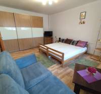 Interiér 1-pokojového bytu s pohovkou, postelí, skříní a podlahou s dřevěným dekorem.