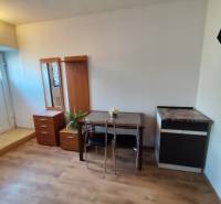 Interiér 1-pokojového bytu s nábytkem a podlahou s dřevěným dekorem.